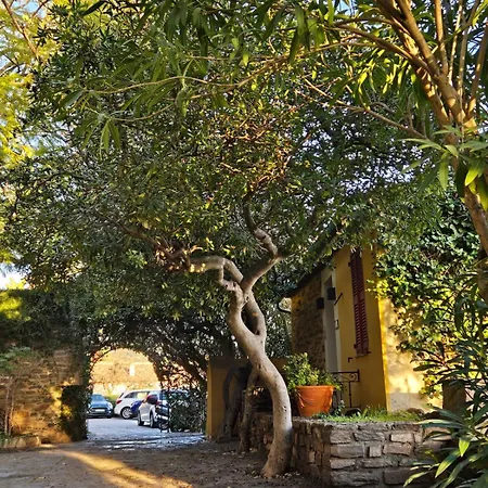 Neuf 4 Pers Confort Calme A 200m * Bormes-les-Mimosas