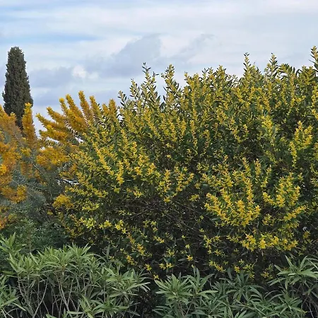 Neuf 4 Pers Confort Calme A 200m Lägenhet