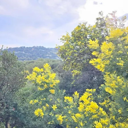 Lägenhet Neuf 4 Pers Confort Calme A 200m *