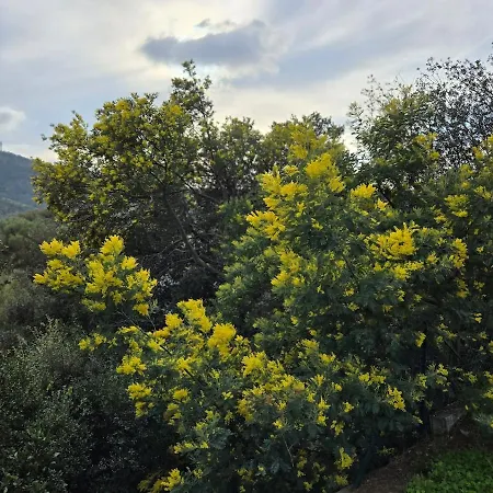 Neuf 4 Pers Confort Calme A 200m Bormes-les-Mimosas
