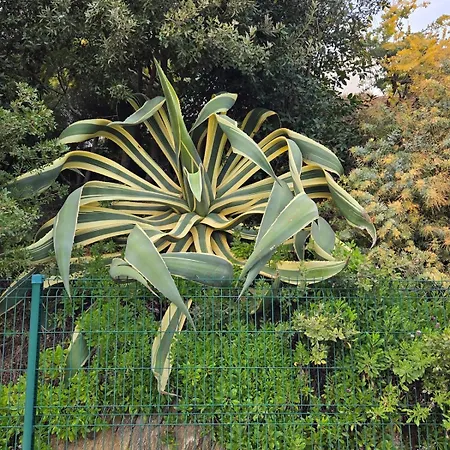 Neuf 4 Pers Confort Calme A 200m