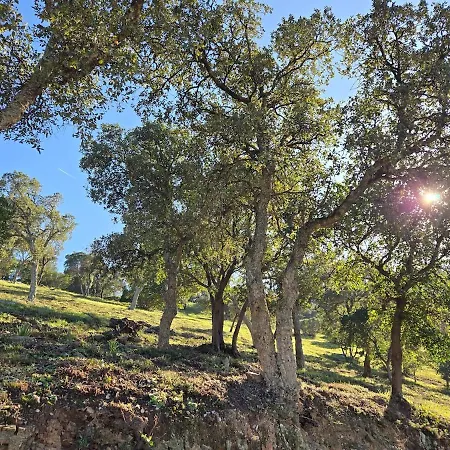 Neuf 4 Pers Confort Calme A 200m Lägenhet