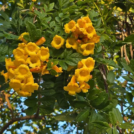 Lägenhet Neuf 4 Pers Confort Calme A 200m Bormes-les-Mimosas