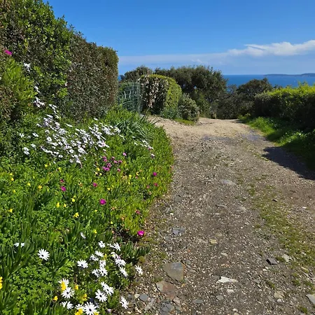 Neuf 4 Pers Confort Calme A 200m Lägenhet Bormes-les-Mimosas