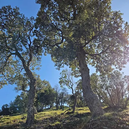 Neuf 4 Pers Confort Calme A 200m Lägenhet